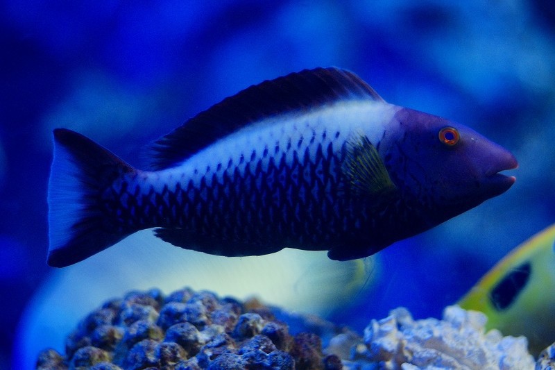 10328884933800042500_4mmk5tlcla