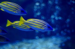 10334287153100042500_2h7o79khla