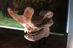 サインはV その2