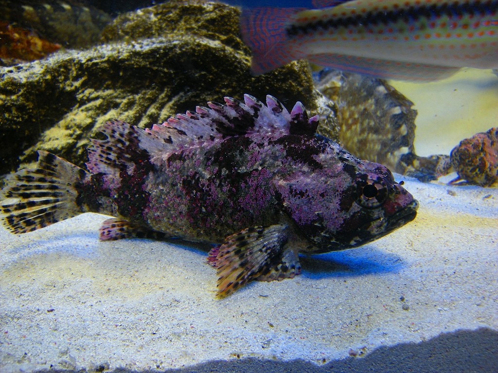 10130097916500042500_tjx7b1dlla