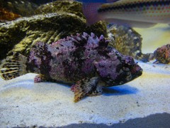 10130097916500042500_tjx7b1dlla