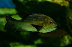 10233683122500042500_k9plsg96la