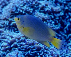 10128884933200042500_fqf0p4h4la