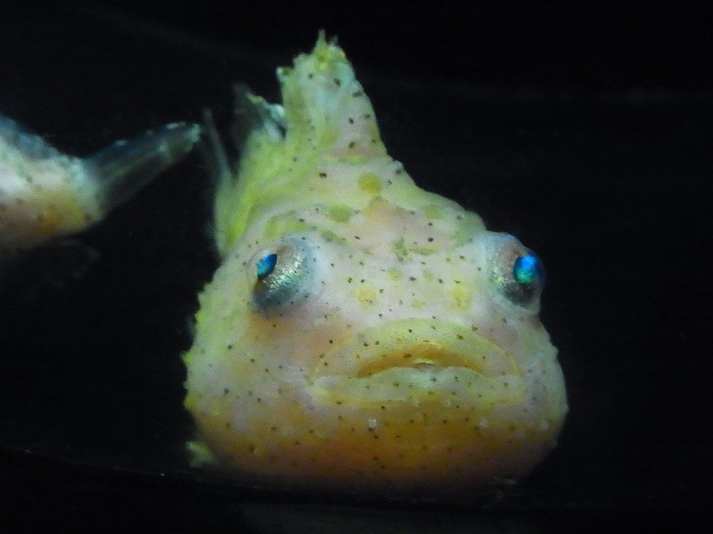 10336184609000042500_5umk65ckla