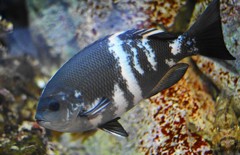 10226284067500042500_jrmz3n01la