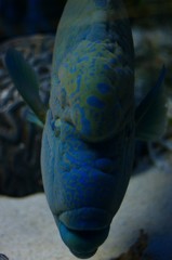 10229877202900042500_p6f58i87la