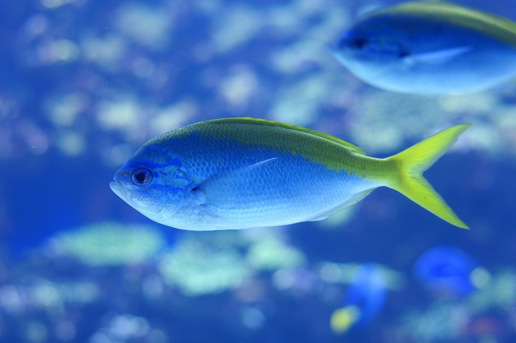 10137493700100042500_2jm9wq5qla