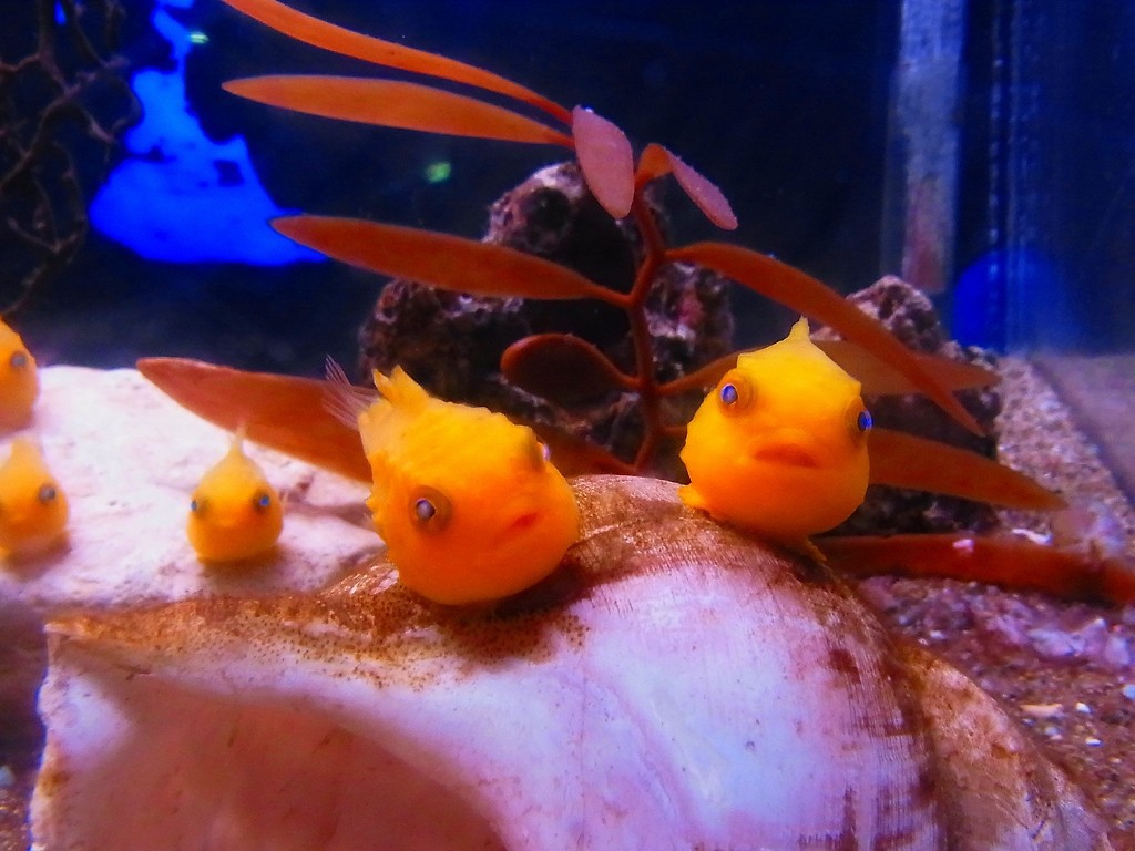 10330754303300042500_ctrj6jkmla