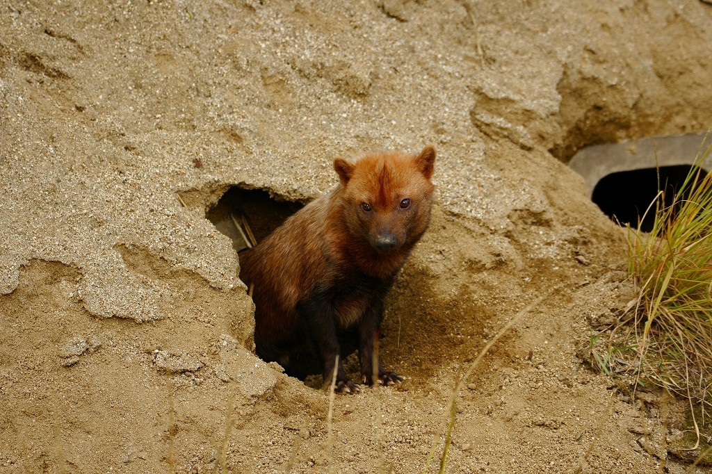 10429674801800042500_gu4ja2dfla