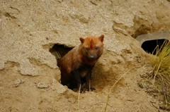 10429674801800042500_gu4ja2dfla