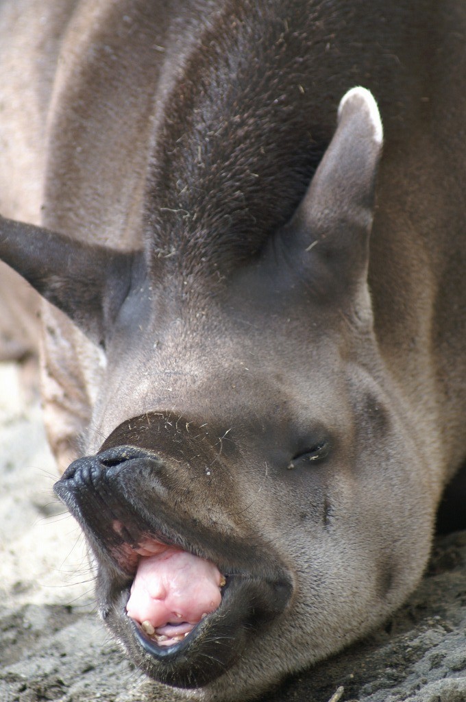 10231480318900042500_ef809a6dla