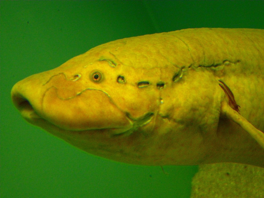 10226711154400042500_9x3nozwsla