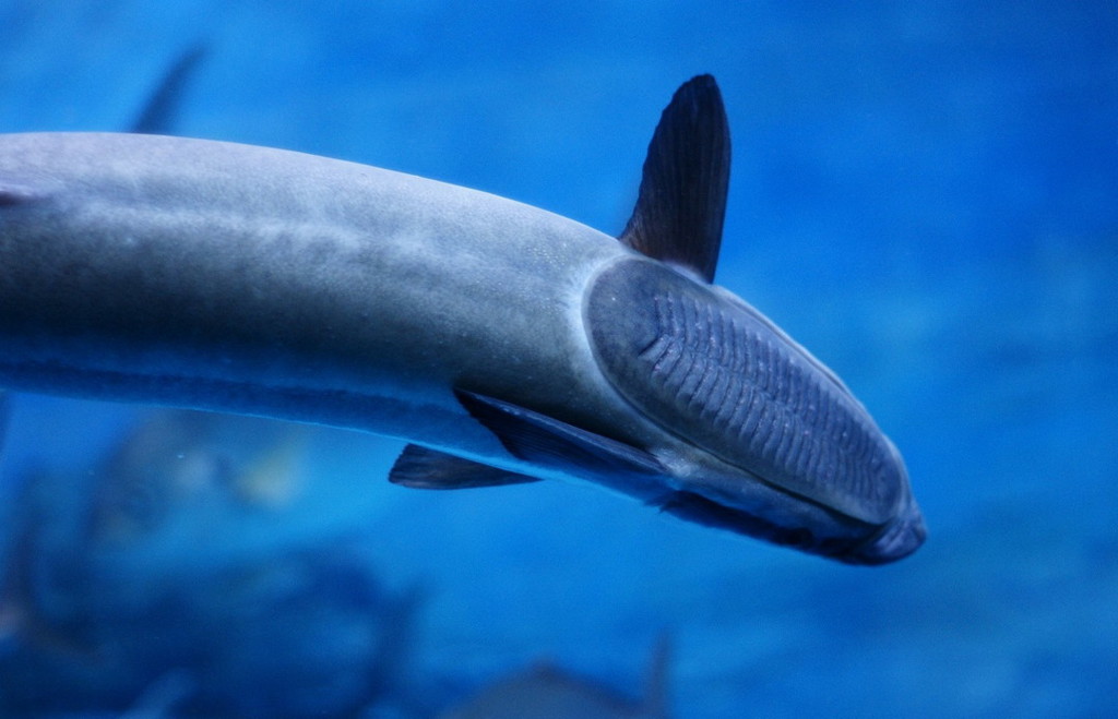 10334897174100042500_byx24wevla