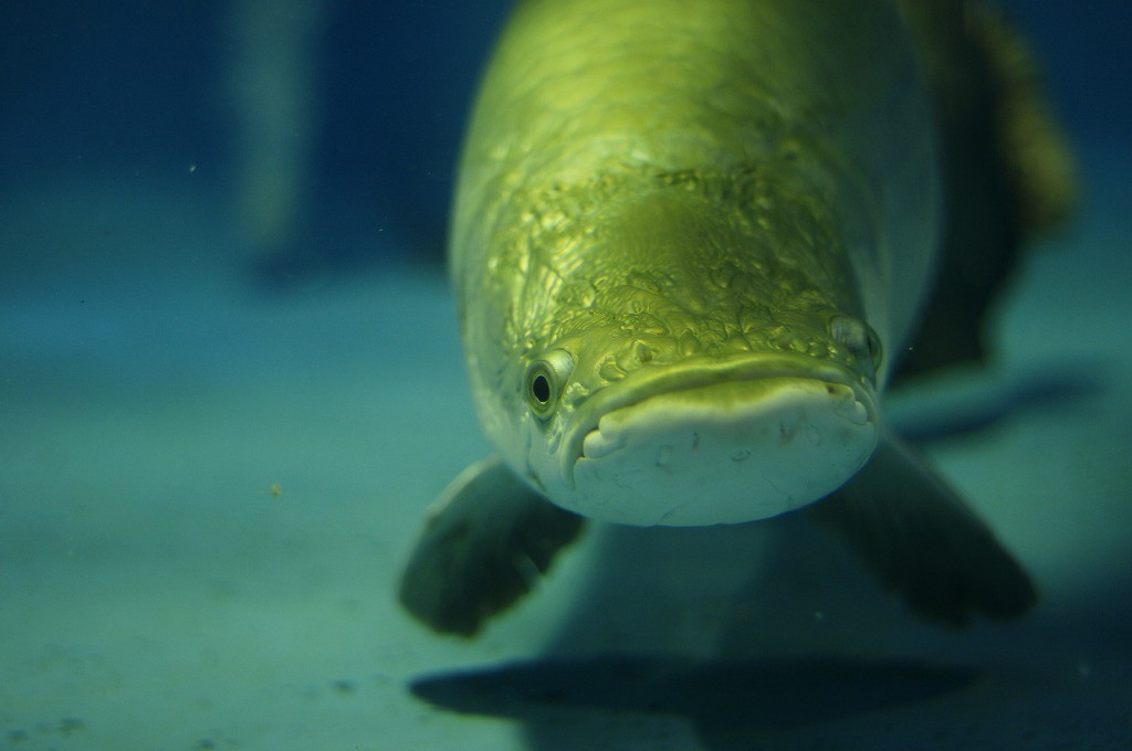 10134555211300042500_fyvqyw53la