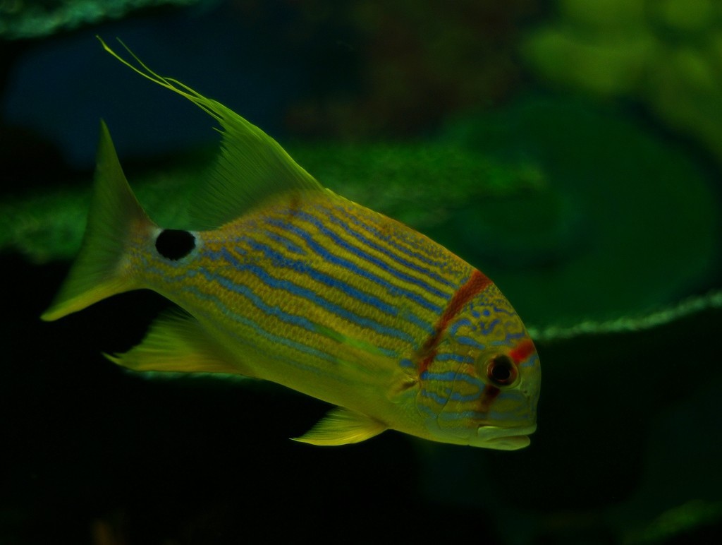 10131117569100042500_tyfgsfdsla