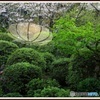 玉名の宿で