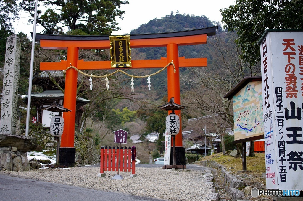 申年なのでここ日吉大社へ