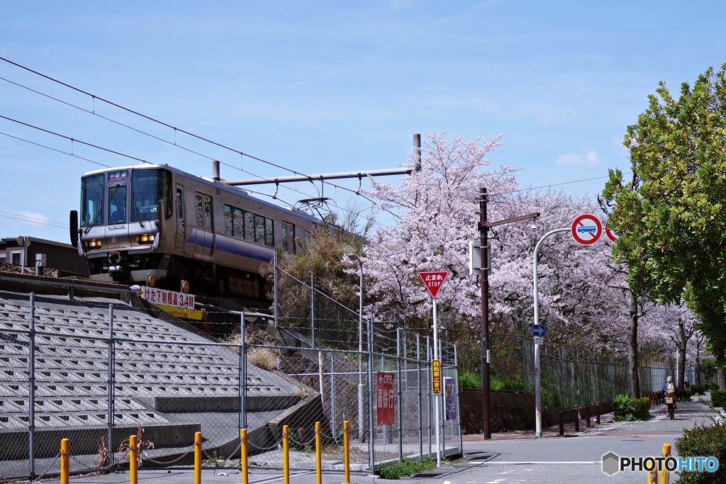 大阪環状線と桜