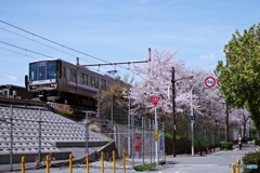 大阪環状線と桜