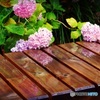 あじさいベンチ
