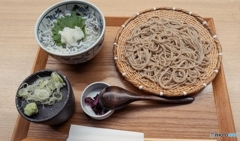 おひとりさまランチ ミニしらす丼と二八そば