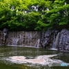 花筏もどき①