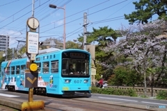 チン電の春