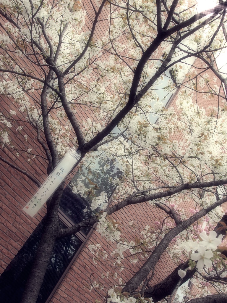 鍾馗