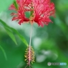 すこし愛して なが～く愛して