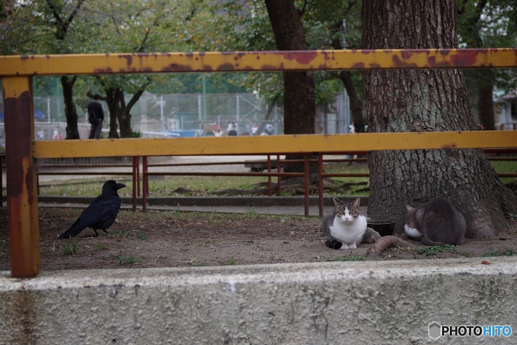 秋の公園で