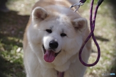 笑ってる♪