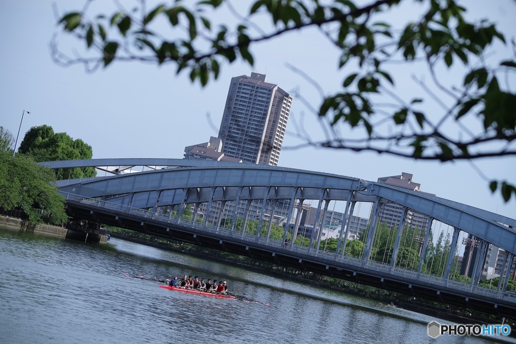 レガッタ朝練風景