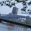 レガッタ朝練風景