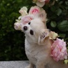 可愛いモデルさん▽･ｪ･▽