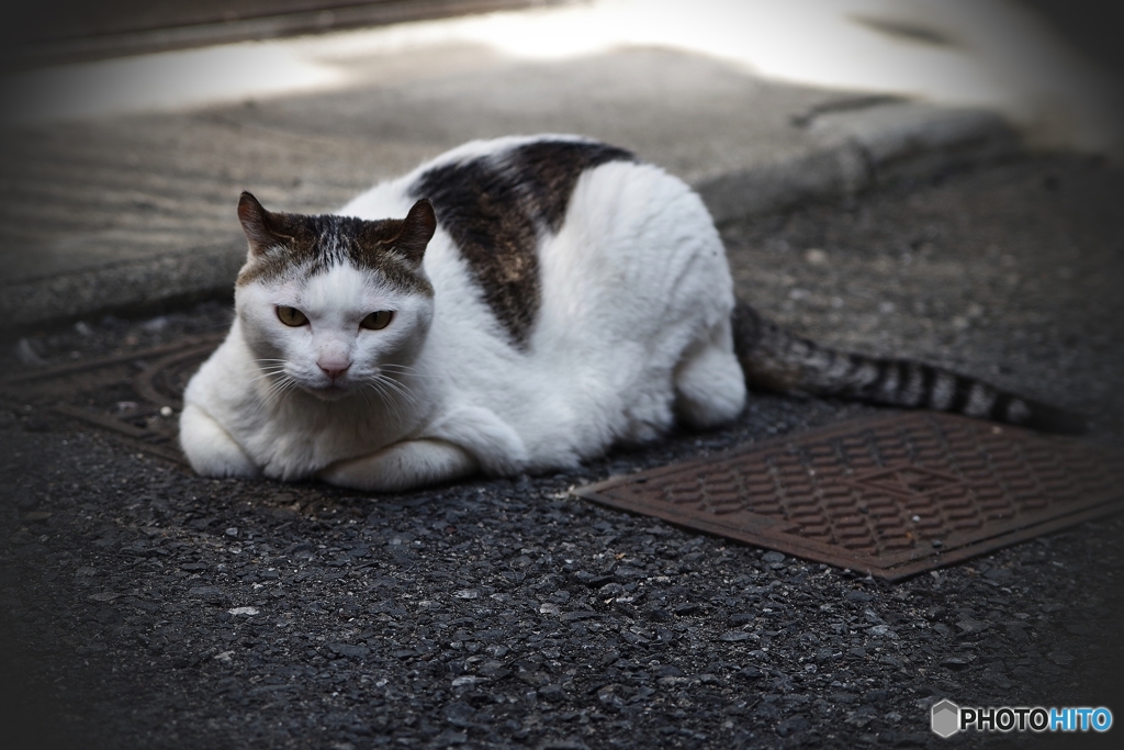 ハジメマシテ