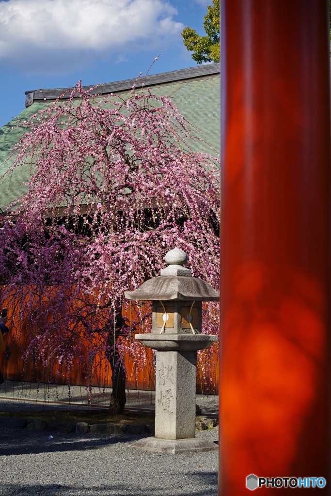 鳥居をくぐれば