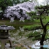 小池物語