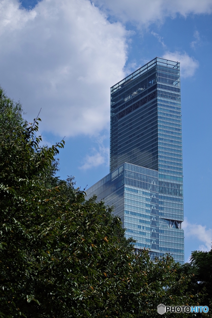 動物園から仰ぐハルカス