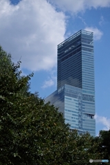 動物園から仰ぐハルカス