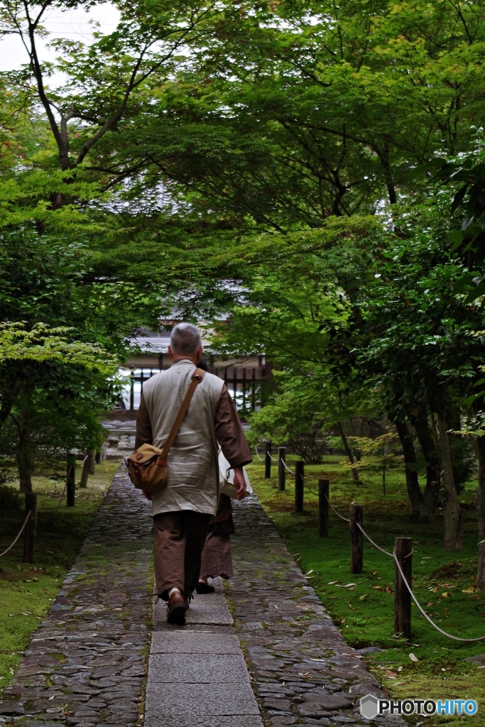 青紅葉の鹿王院