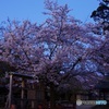 暮れなずむ氷室神社✿
