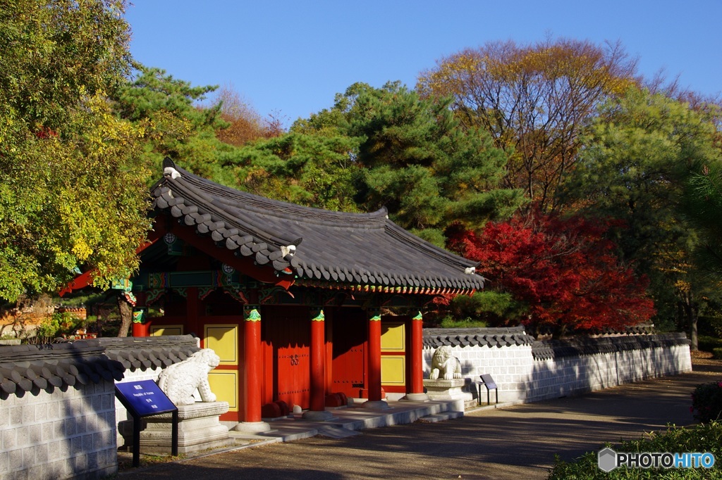 韓国庭園の紅葉①