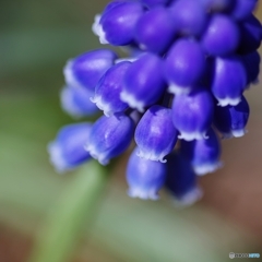 夢にかける思い♡