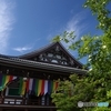 夏椿咲き五色幕揺れる