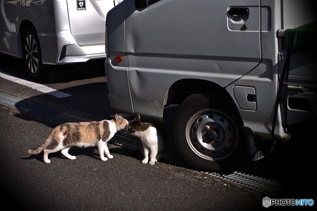 ごあいさチュー♪