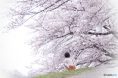 素敵な桜が撮れましたか？^^