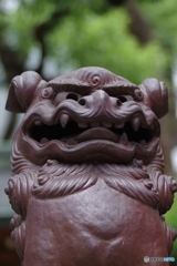 坐摩神社の狛犬さん