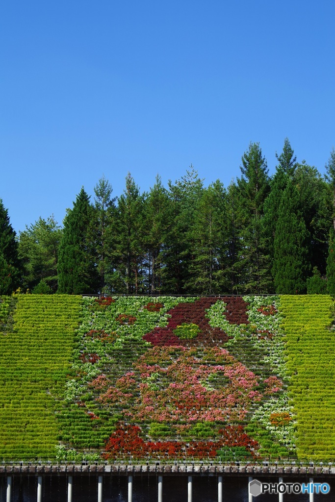 今月の花のタペストリーは「ポリスまろん」