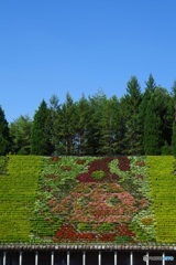 今月の花のタペストリーは「ポリスまろん」