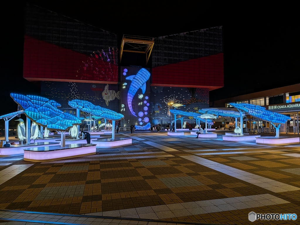 海遊館イルミネーション☆